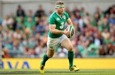 Gordon D'Arcy and Michael Bent sent out to impress on Leinster duty