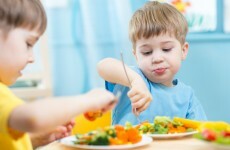 The Greens have a radical plan to feed every schoolchild in the country