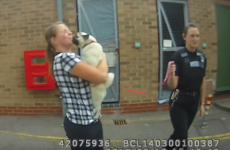 A stolen pug was reunited with her owner, and went absolutely NUTS