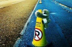 Someone is taking a toy sloth around Dublin and it's simply adorable