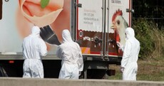 A toddler and three young boys were among the dead in Austrian truck