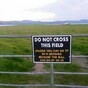 12 'Irish' images that have taken the internet by storm