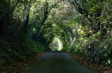 Clare County Council are giving money to people to cut their hedges