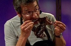 Why did the BBC show people skinning and eating squirrels in studio?