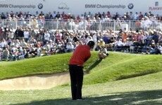 Rose in bloom at BMW Championship