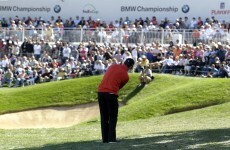 Rose in bloom at BMW Championship