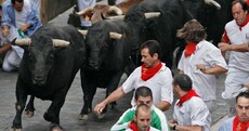 Man in his 60s killed as death toll from Spanish bull runs reaches 12