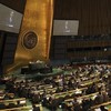 Tánaiste to address the United Nations General Assembly