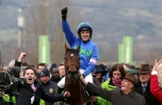 One of the all-time greats of horse racing has been retired