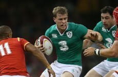 Trimble to miss out on World Cup as Schmidt includes Furlong and Cave