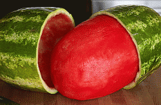 Want to feel creeped out? This is what a skinned watermelon looks like