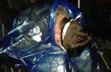 This horrifying Twitter account details everything you shouldn't do at Electric Picnic