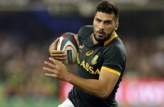 As you were: South African court allows Springboks to go and compete in Rugby World Cup