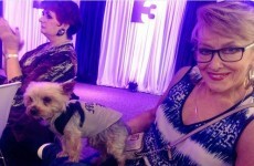 12 important things we learned from the TV3 programme launch
