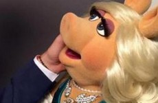 Looks like Miss Piggy's moving on....