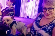 12 important things we learned from the TV3 programme launch