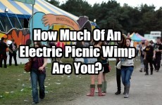 How Much Of An Electric Picnic Wimp Are You?