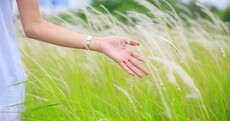 Here's why you need mindfulness and how to bring it into your everyday