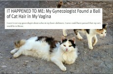 A woman said she found a ball of cat hair in her vagina and the internet is losing it