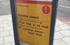 A bizarre bus stop disruption has been going viral... but it's actually accurate