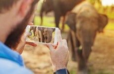 Here's how you can really make the most out of Google Photos