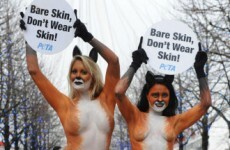 PETA to launch pornography website