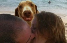 12 times the internet was no help at all