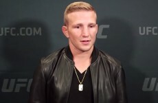UFC champ Dillashaw: 'McGregor is more interested in money than the sport'