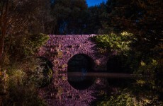 A 'forgotten' river of Dublin is being paid tribute to this week
