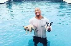 Here's what went viral today: Tuesday
