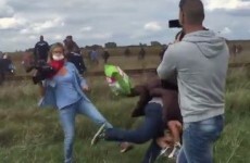 Hungarian journalist fired after 'kicking migrants'