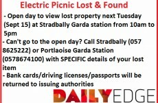 Lose something at Electric Picnic? Here's how you can get it back