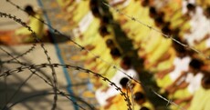 Thousands of Iraqis face torture, says Amnesty report