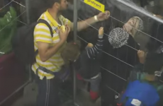 Disturbing video shows fenced-in refugees fed sandwiches 'like animals in pen'