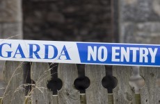 Woman in her 90s brutally assaulted during burglary at her Bray home