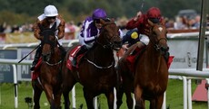 Massive controversy as Aidan O'Brien wins another St Leger at Doncaster