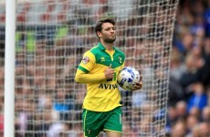 Wes Hoolahan sets one up and scores one as he inspires Norwich victory