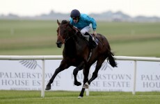 Michael Owen's classic-winning horse put down after Curragh incident
