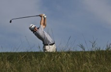 70,000 angry bees call a halt to college golf tournament