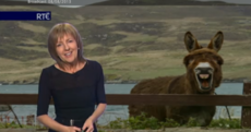 Met Éireann received A LOT of complaints about Ireland's changeable weather
