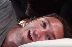 This guy willingly put spiders in his mouth to try and disprove an urban myth