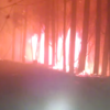 WATCH: Family films terrifying escape from wildfire