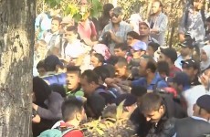 'Mayhem' as crowds of migrants break through police lines in Croatia