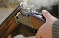 Here's how Ireland's gun laws are being changed