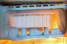Man arrested after 21 pieces of female genitalia found in his freezer