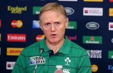 'We want the game to keep going' - Ireland's Schmidt on TMO use at RWC