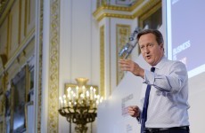 A new book says David Cameron put "a private part" in a dead pig's mouth
