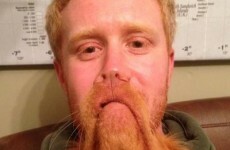 This perfectly-timed photo looks REALLY like Glen Hansard