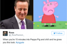 13 people who took the whole #piggate affair and ran with it