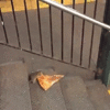 The internet has a new hero and his name is 'Pizza Rat'